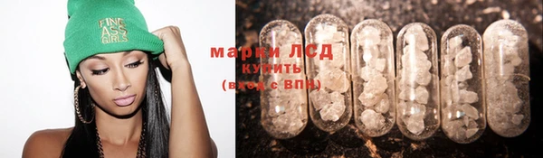 jwh Богородицк